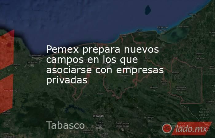 Pemex prepara nuevos campos en los que asociarse con empresas privadas. Noticias en tiempo real