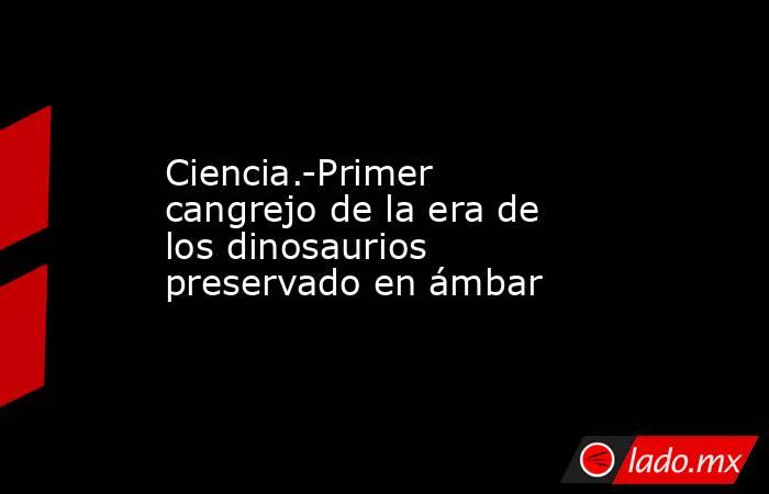 Ciencia.-Primer cangrejo de la era de los dinosaurios preservado en ámbar. Noticias en tiempo real