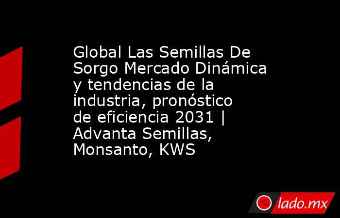 Global Las Semillas De Sorgo Mercado Dinámica y tendencias de la industria, pronóstico de eficiencia 2031 | Advanta Semillas, Monsanto, KWS. Noticias en tiempo real