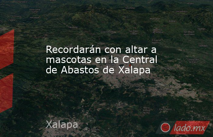 Recordarán con altar a mascotas en la Central de Abastos de Xalapa. Noticias en tiempo real