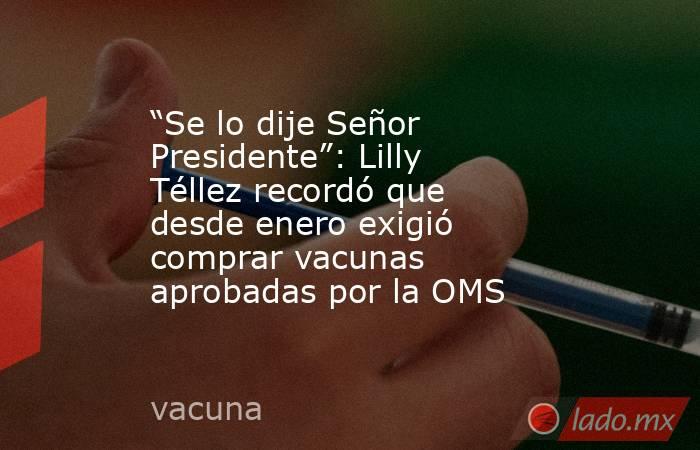 “Se lo dije Señor Presidente”: Lilly Téllez recordó que desde enero exigió comprar vacunas aprobadas por la OMS. Noticias en tiempo real