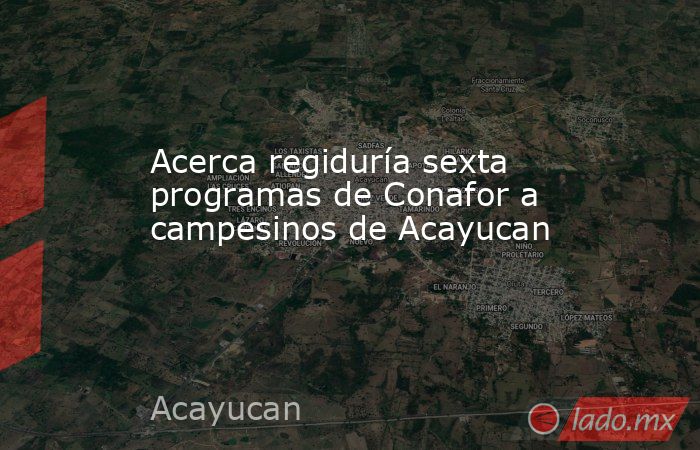 Acerca regiduría sexta programas de Conafor a campesinos de Acayucan. Noticias en tiempo real
