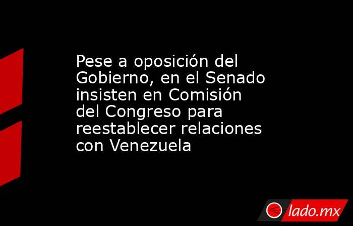 Pese a oposición del Gobierno, en el Senado insisten en Comisión del Congreso para reestablecer relaciones con Venezuela. Noticias en tiempo real