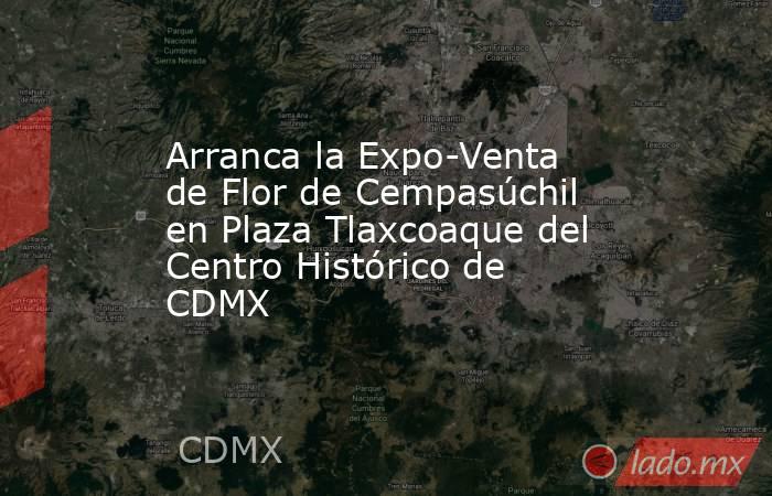 Arranca la Expo-Venta de Flor de Cempasúchil en Plaza Tlaxcoaque del Centro Histórico de CDMX . Noticias en tiempo real