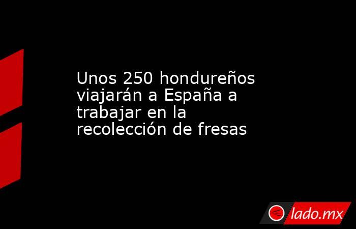 Unos 250 hondureños viajarán a España a trabajar en la recolección de fresas. Noticias en tiempo real