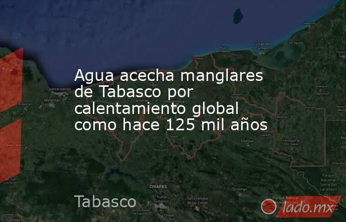 Agua acecha manglares de Tabasco por calentamiento global como hace 125 mil años. Noticias en tiempo real