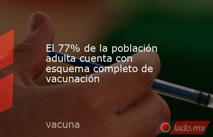 El 77% de la población adulta cuenta con esquema completo de vacunación. Noticias en tiempo real