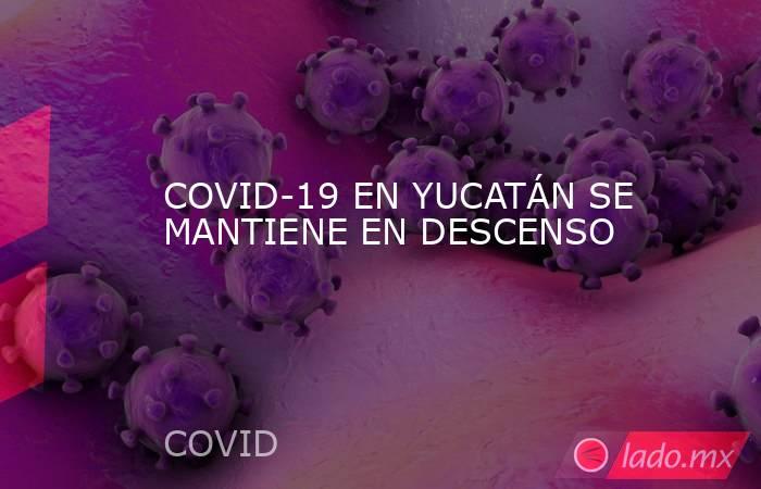 COVID-19 EN YUCATÁN SE MANTIENE EN DESCENSO. Noticias en tiempo real