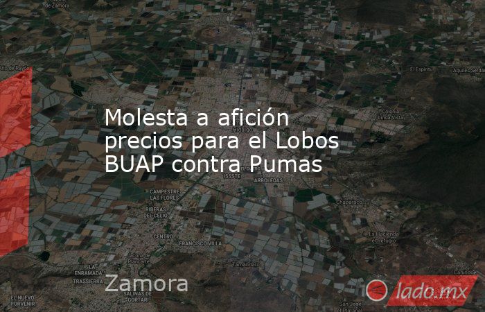 Molesta a afición precios para el Lobos BUAP contra Pumas. Noticias en tiempo real