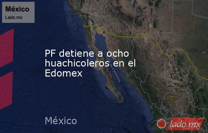 PF detiene a ocho huachicoleros en el Edomex. Noticias en tiempo real