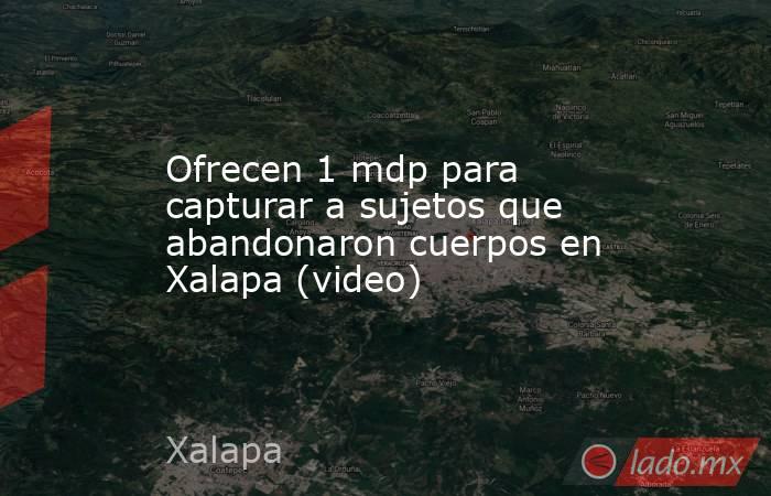Ofrecen 1 mdp para capturar a sujetos que abandonaron cuerpos en Xalapa (video). Noticias en tiempo real