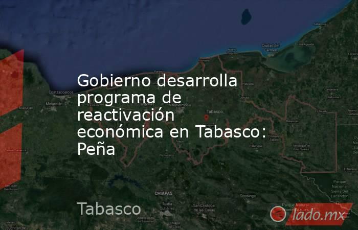 Gobierno desarrolla programa de reactivación económica en Tabasco: Peña. Noticias en tiempo real