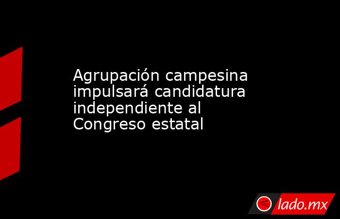 Agrupación campesina impulsará candidatura independiente al Congreso estatal. Noticias en tiempo real