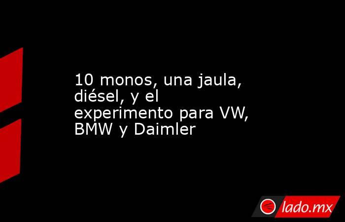 10 monos, una jaula, diésel, y el experimento para VW, BMW y Daimler. Noticias en tiempo real