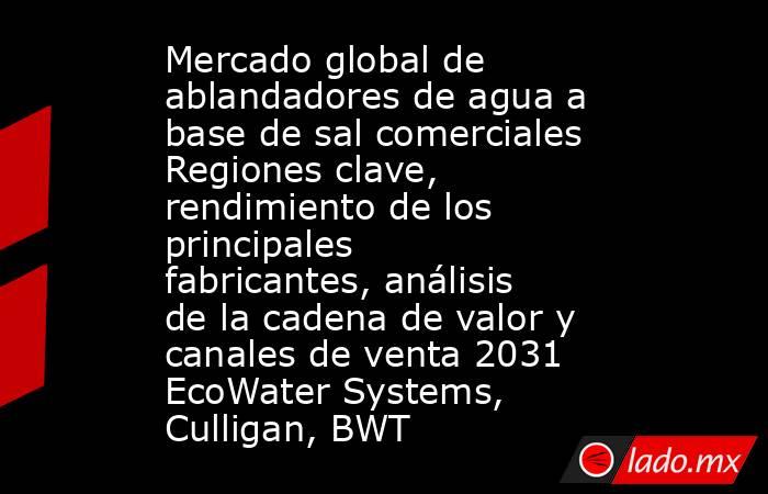 Mercado global de ablandadores de agua a base de sal comerciales Regiones clave, rendimiento de los principales fabricantes, análisis de la cadena de valor y canales de venta 2031 EcoWater Systems, Culligan, BWT. Noticias en tiempo real