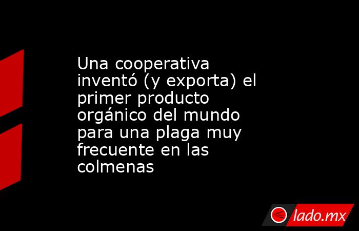 Una cooperativa inventó (y exporta) el primer producto orgánico del mundo para una plaga muy frecuente en las colmenas. Noticias en tiempo real