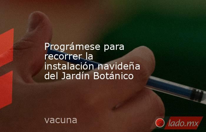 Prográmese para recorrer la instalación navideña del Jardín Botánico. Noticias en tiempo real