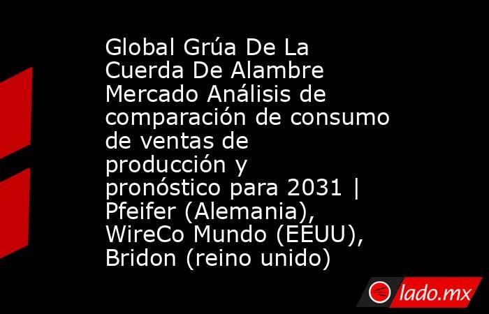 Global Grúa De La Cuerda De Alambre Mercado Análisis de comparación de consumo de ventas de producción y pronóstico para 2031 | Pfeifer (Alemania), WireCo Mundo (EEUU), Bridon (reino unido). Noticias en tiempo real