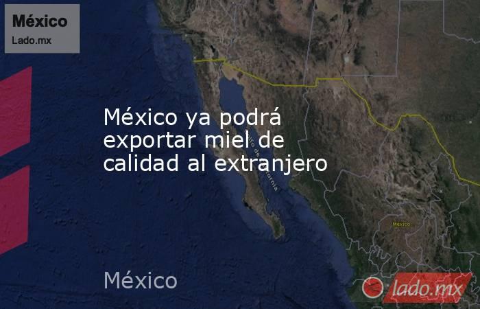 México ya podrá exportar miel de calidad al extranjero . Noticias en tiempo real