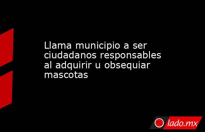 Llama municipio a ser ciudadanos responsables al adquirir u obsequiar mascotas. Noticias en tiempo real