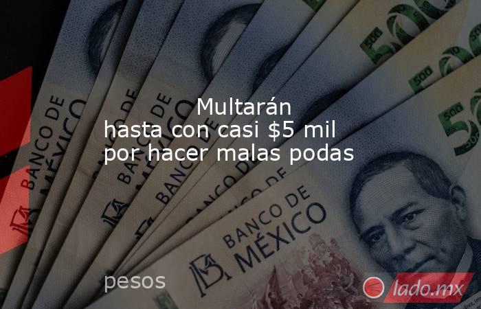             Multarán hasta con casi $5 mil por hacer malas podas            . Noticias en tiempo real