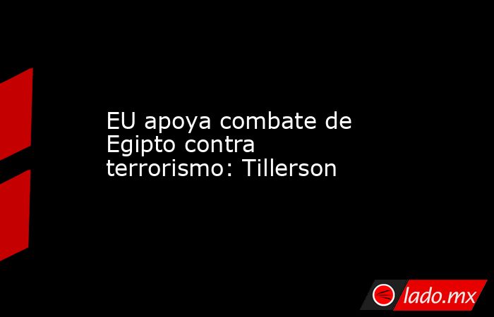EU apoya combate de Egipto contra terrorismo: Tillerson. Noticias en tiempo real