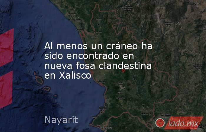 Al menos un cráneo ha sido encontrado en nueva fosa clandestina en Xalisco. Noticias en tiempo real