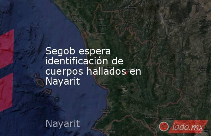 Segob espera identificación de cuerpos hallados en Nayarit. Noticias en tiempo real