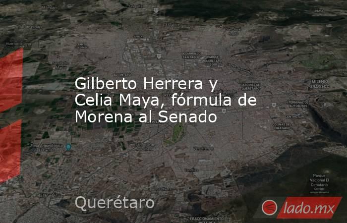 Gilberto Herrera y Celia Maya, fórmula de Morena al Senado. Noticias en tiempo real