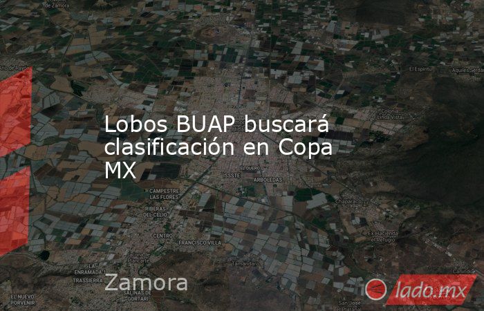 Lobos BUAP buscará clasificación en Copa MX. Noticias en tiempo real