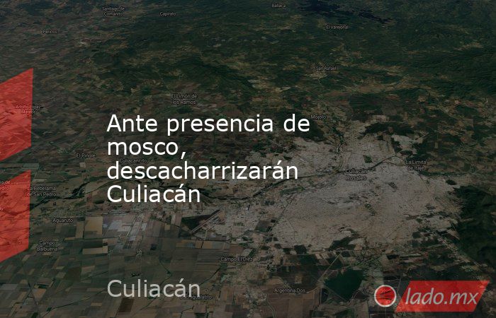 Ante presencia de mosco, descacharrizarán Culiacán. Noticias en tiempo real