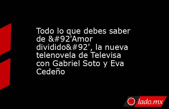 Todo lo que debes saber de \'Amor dividido\', la nueva telenovela de Televisa con Gabriel Soto y Eva Cedeño. Noticias en tiempo real
