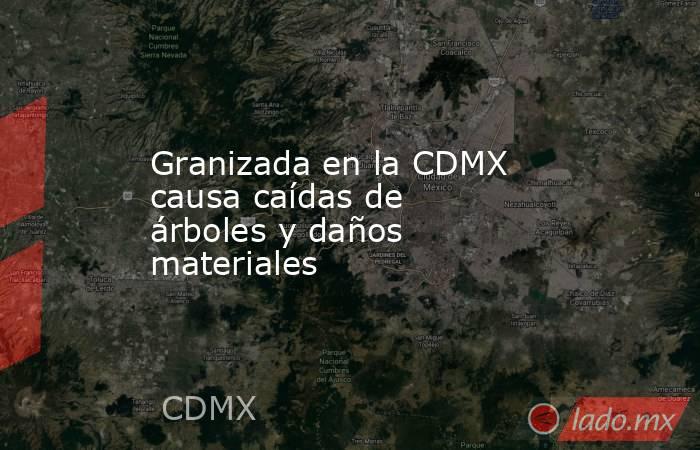 Granizada en la CDMX causa caídas de árboles y daños materiales. Noticias en tiempo real