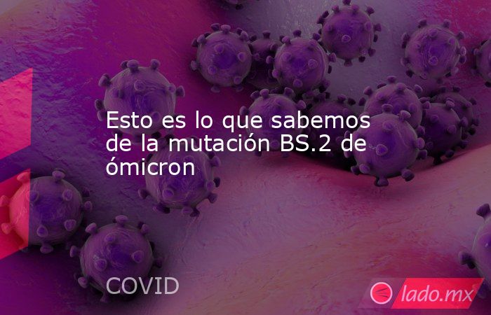 Esto es lo que sabemos de la mutación BS.2 de ómicron. Noticias en tiempo real