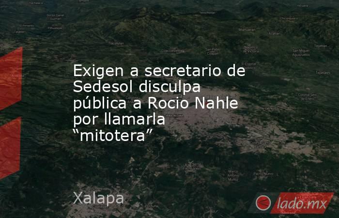 Exigen a secretario de Sedesol disculpa pública a Rocio Nahle por llamarla “mitotera”. Noticias en tiempo real