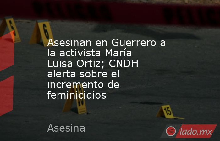 Asesinan en Guerrero a la activista María Luisa Ortiz; CNDH alerta sobre el incremento de feminicidios. Noticias en tiempo real