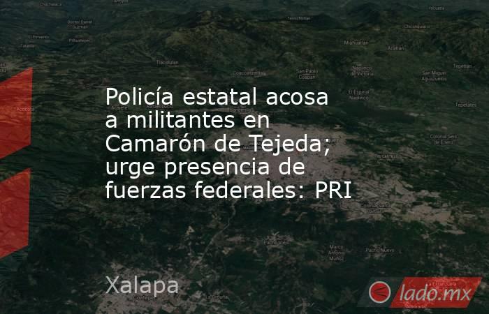 Policía estatal acosa a militantes en Camarón de Tejeda; urge presencia de fuerzas federales: PRI. Noticias en tiempo real