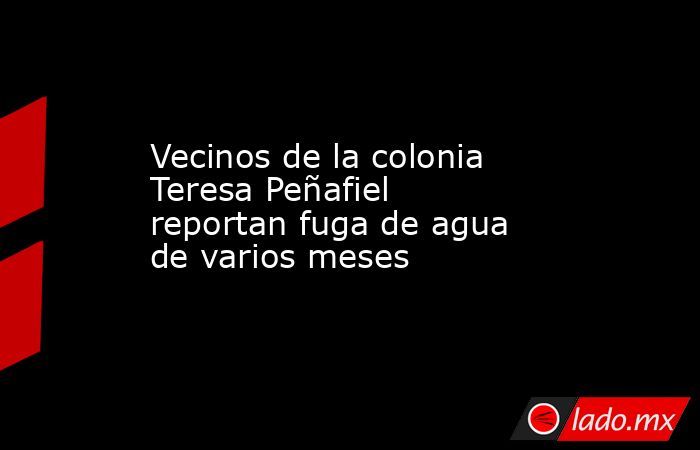 Vecinos de la colonia Teresa Peñafiel reportan fuga de agua de varios meses. Noticias en tiempo real