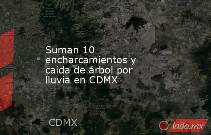 Suman 10 encharcamientos y caída de árbol por lluvia en CDMX. Noticias en tiempo real