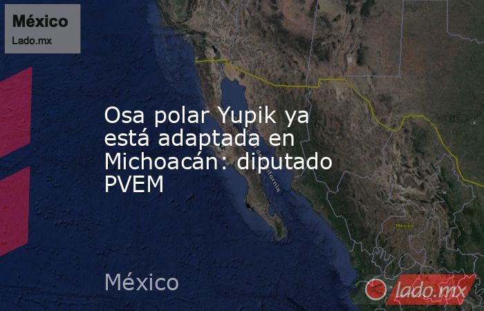 Osa polar Yupik ya está adaptada en Michoacán: diputado PVEM. Noticias en tiempo real