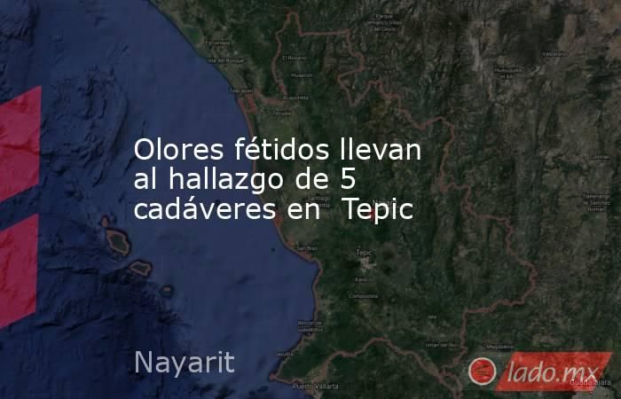Olores fétidos llevan al hallazgo de 5 cadáveres en  Tepic. Noticias en tiempo real