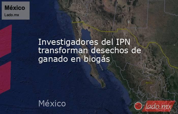 Investigadores del IPN transforman desechos de ganado en biogás. Noticias en tiempo real