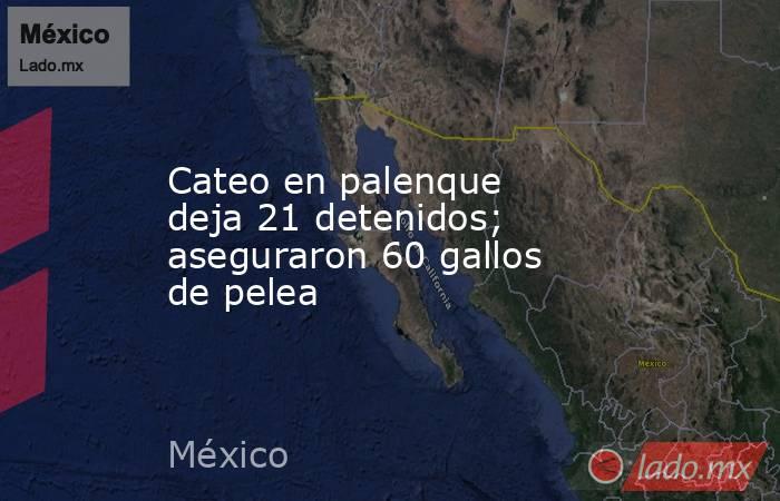 Cateo en palenque deja 21 detenidos; aseguraron 60 gallos de pelea. Noticias en tiempo real