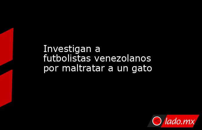 Investigan a futbolistas venezolanos por maltratar a un gato. Noticias en tiempo real