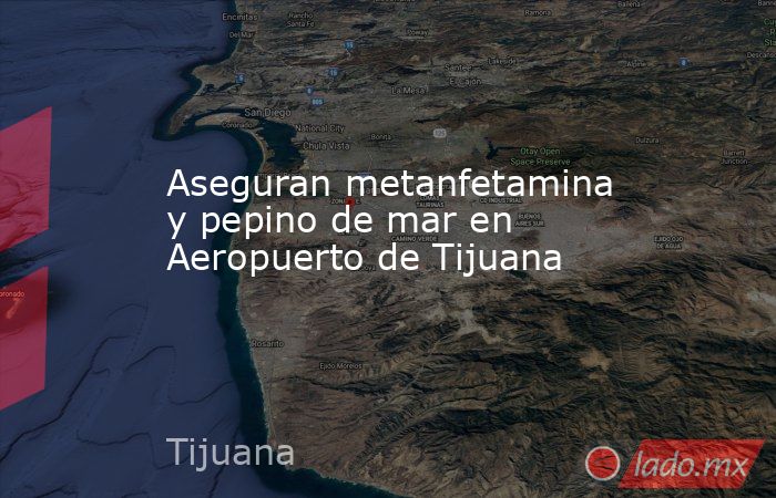 Aseguran metanfetamina y pepino de mar en Aeropuerto de Tijuana. Noticias en tiempo real