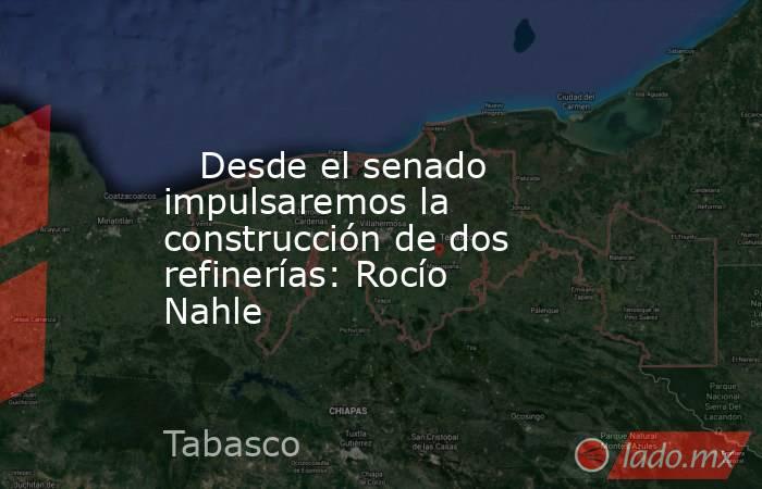    Desde el senado impulsaremos la construcción de dos refinerías: Rocío Nahle. Noticias en tiempo real