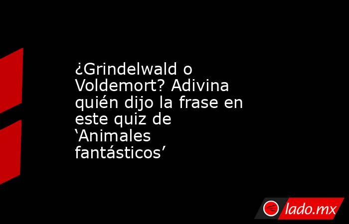 ¿Grindelwald o Voldemort? Adivina quién dijo la frase en este quiz de ‘Animales fantásticos’. Noticias en tiempo real