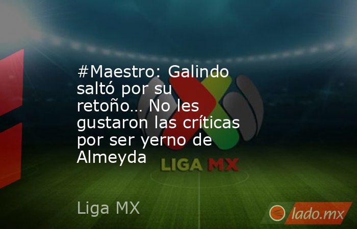 #Maestro: Galindo saltó por su retoño… No les gustaron las críticas por ser yerno de Almeyda. Noticias en tiempo real