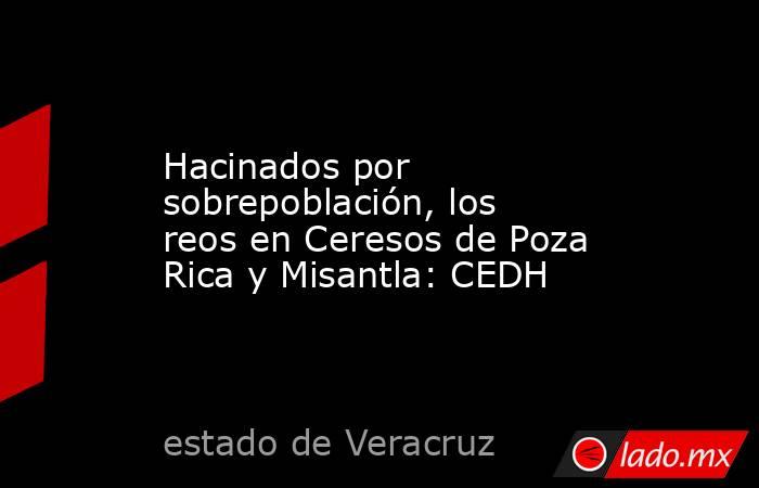 Hacinados por sobrepoblación, los reos en Ceresos de Poza Rica y Misantla: CEDH. Noticias en tiempo real