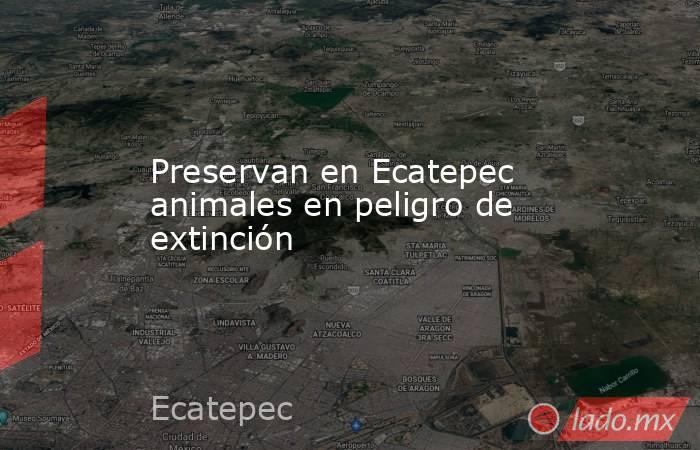 Preservan en Ecatepec animales en peligro de extinción. Noticias en tiempo real